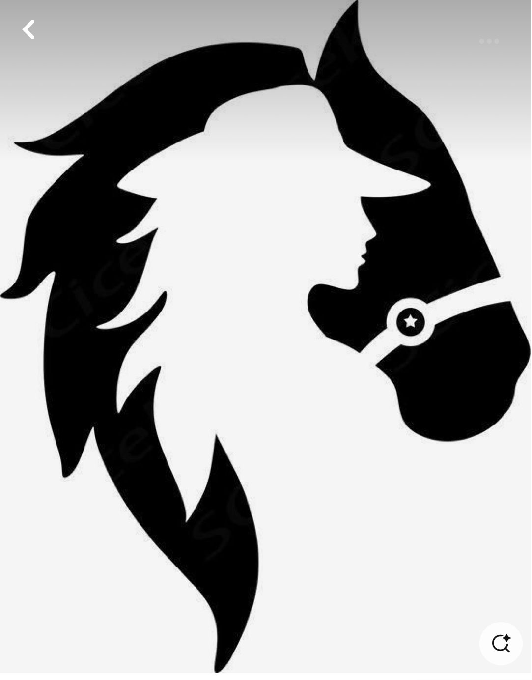 Embroidery Horse and Cowgirl - CAP